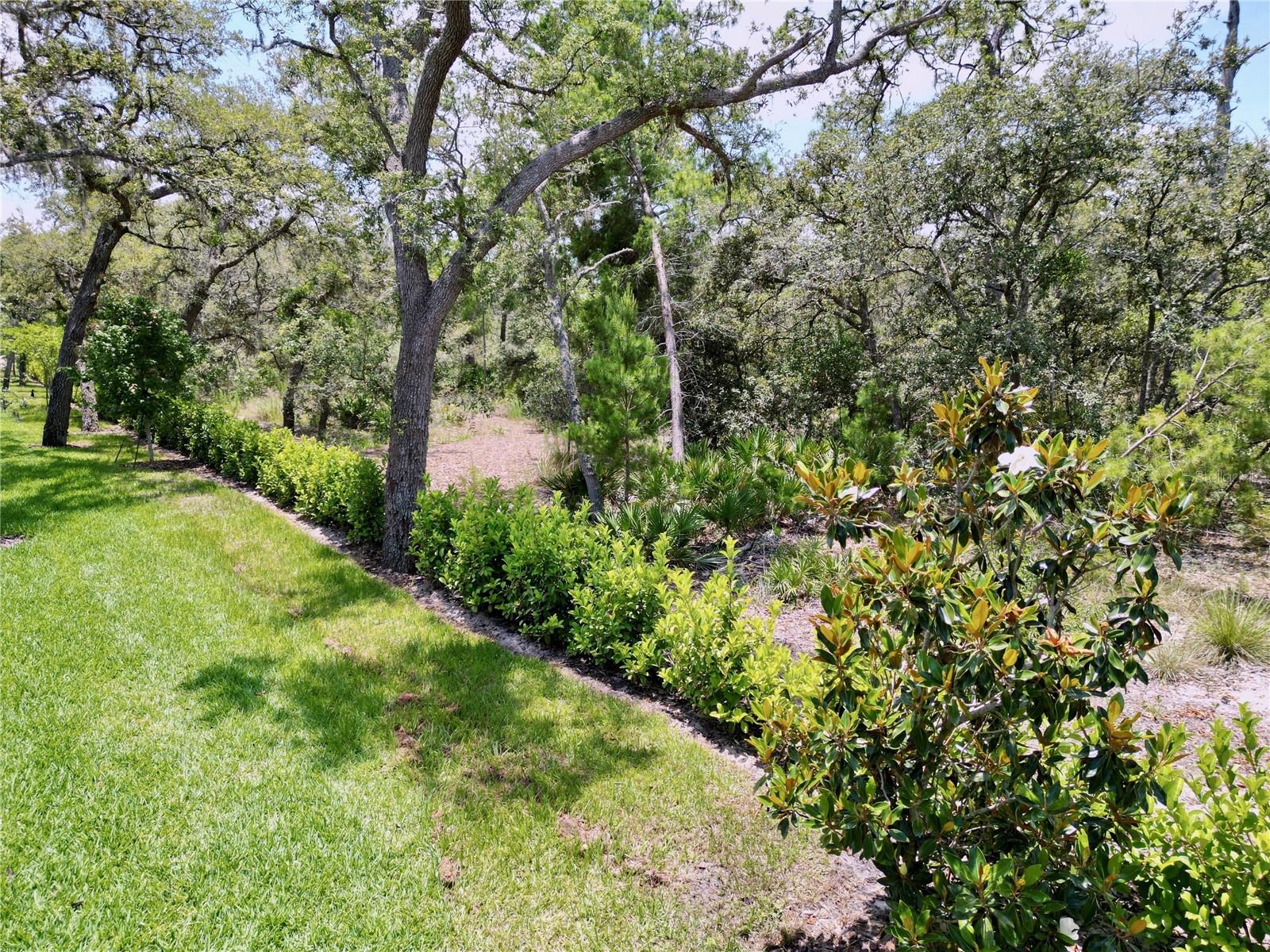 1425 SERENDIPITY LN, CLERMONT, FL — photo 150