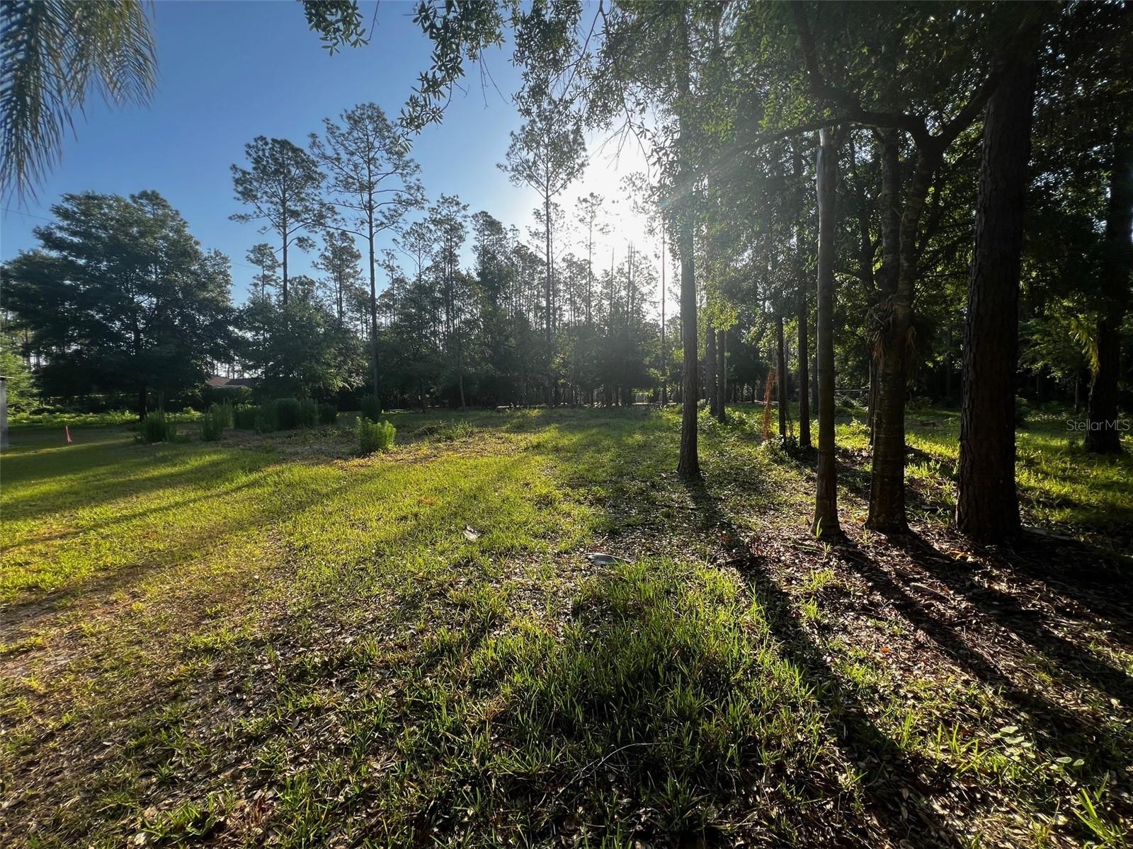 NEWBERGER, LUTZ, FL — photo 2