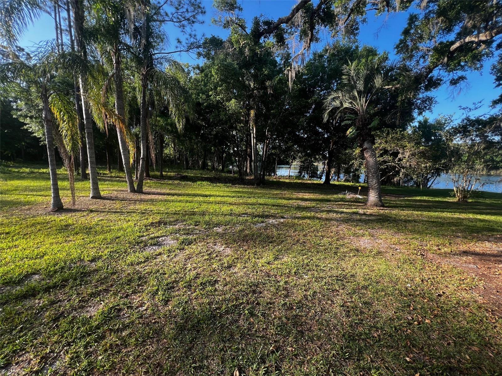 NEWBERGER, LUTZ, FL — photo 3