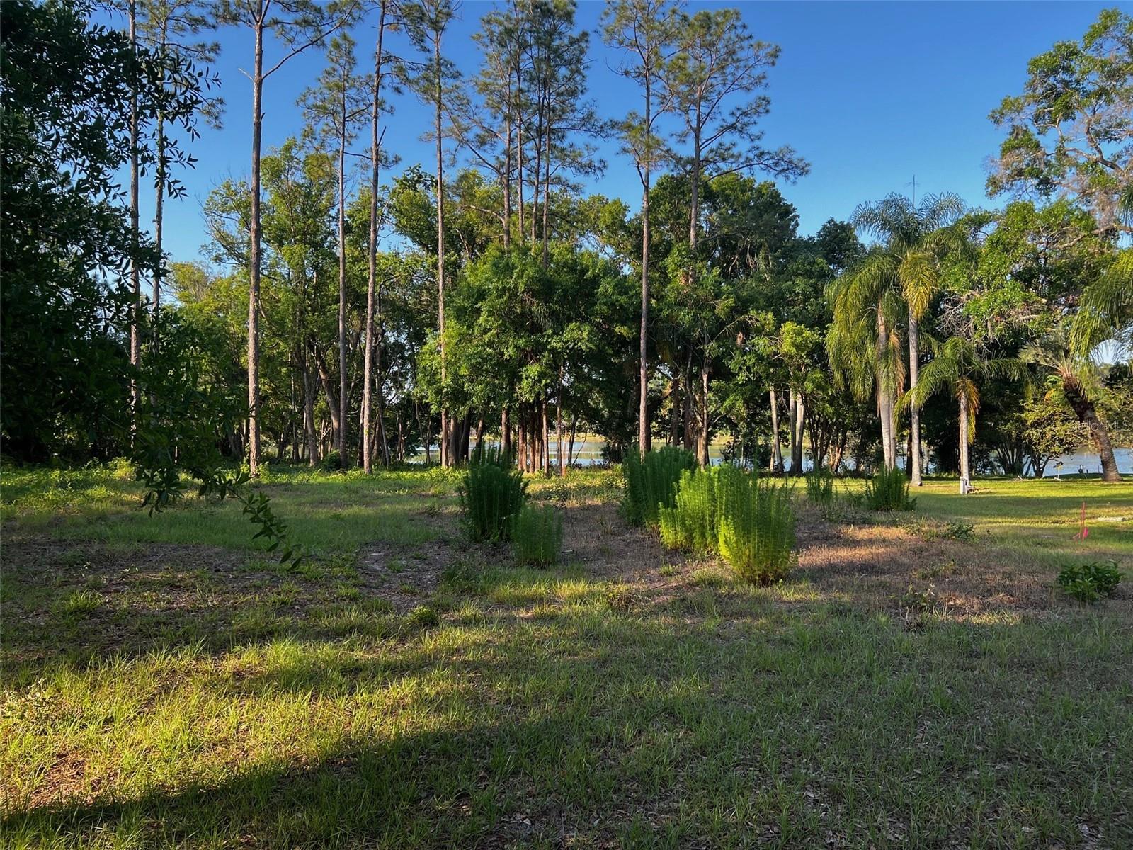 NEWBERGER, LUTZ, FL — photo 4