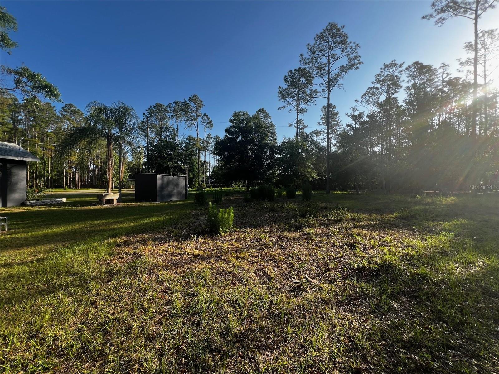 NEWBERGER, LUTZ, FL — photo 6