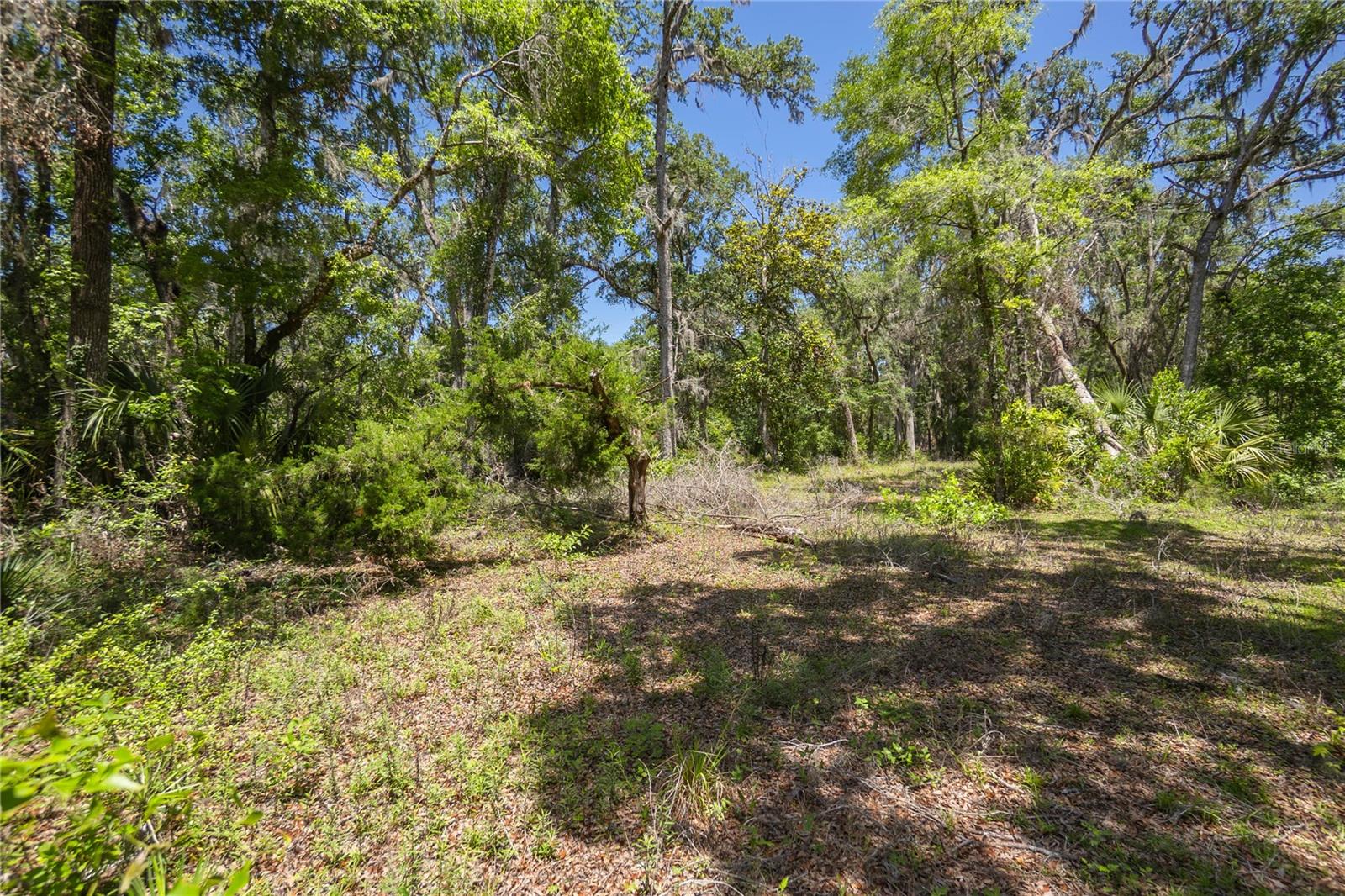 105 NE 239TH AVE, OLD TOWN, FL — photo 4