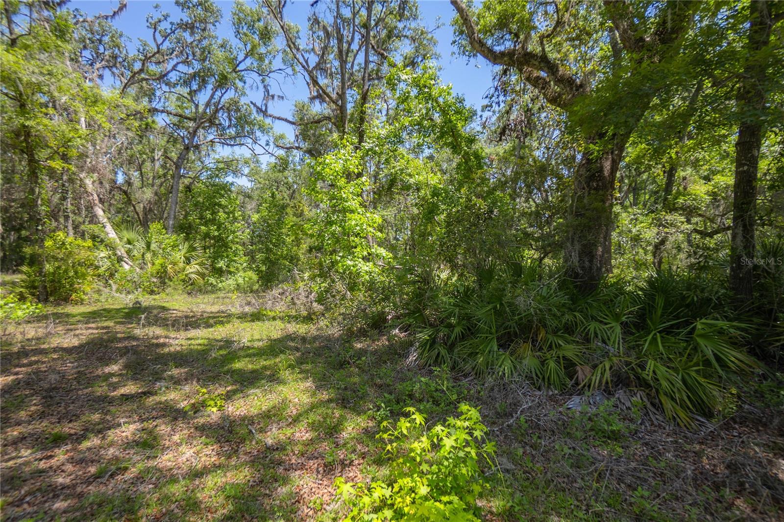 105 NE 239TH AVE, OLD TOWN, FL — photo 5