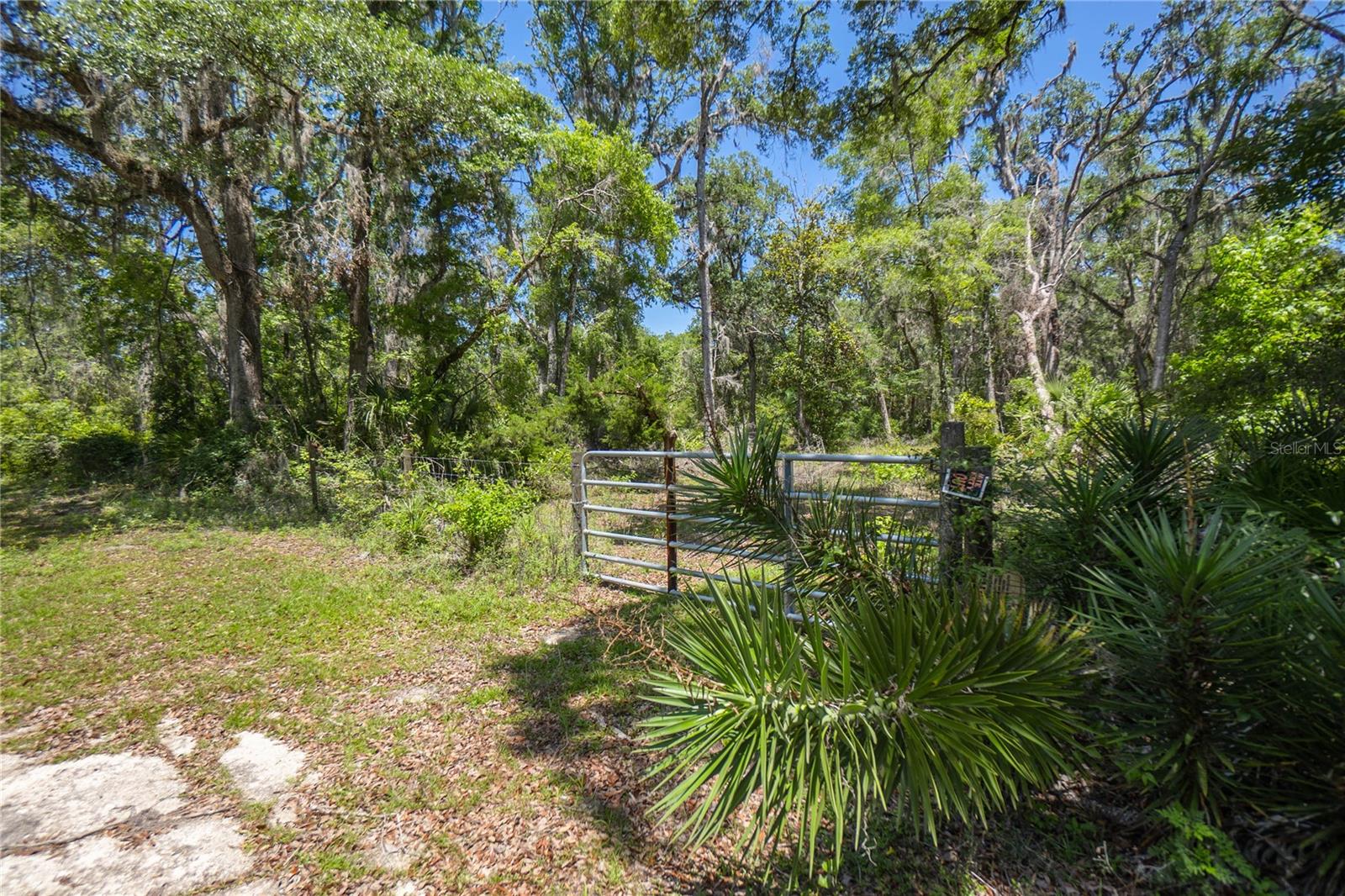 105 NE 239TH AVE, OLD TOWN, FL — photo 6