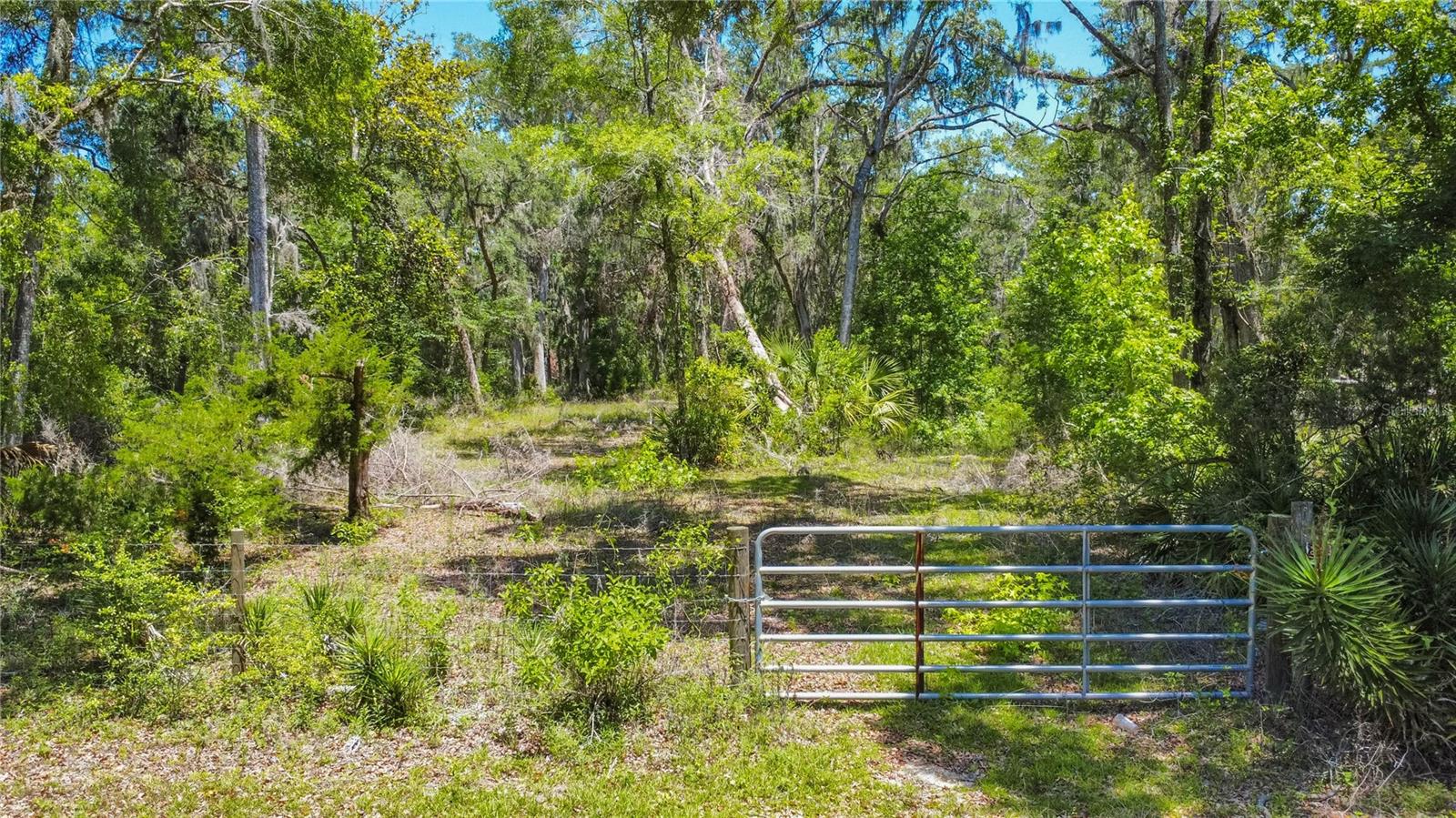105 NE 239TH AVE, OLD TOWN, FL — photo 7
