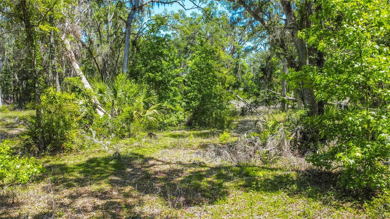 105 NE 239TH AVE, OLD TOWN, FL — photo 8