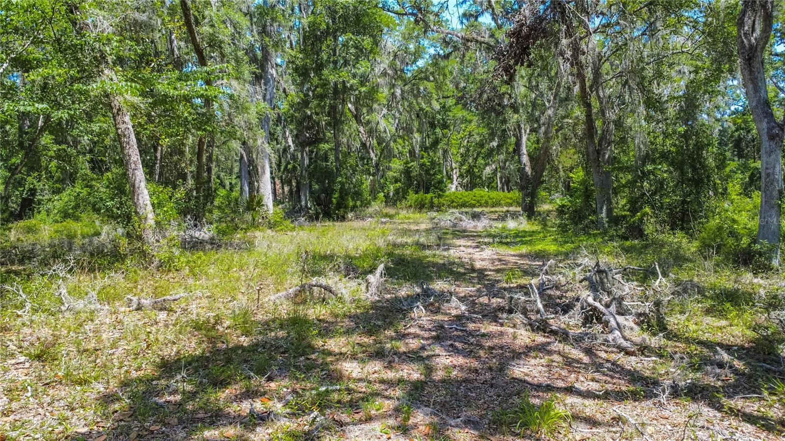 105 NE 239TH AVE, OLD TOWN, FL — photo 9