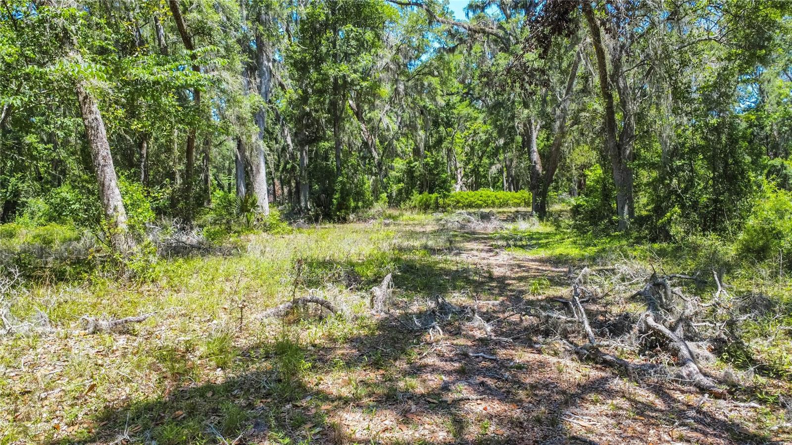105 NE 239TH AVE, OLD TOWN, FL — photo 10