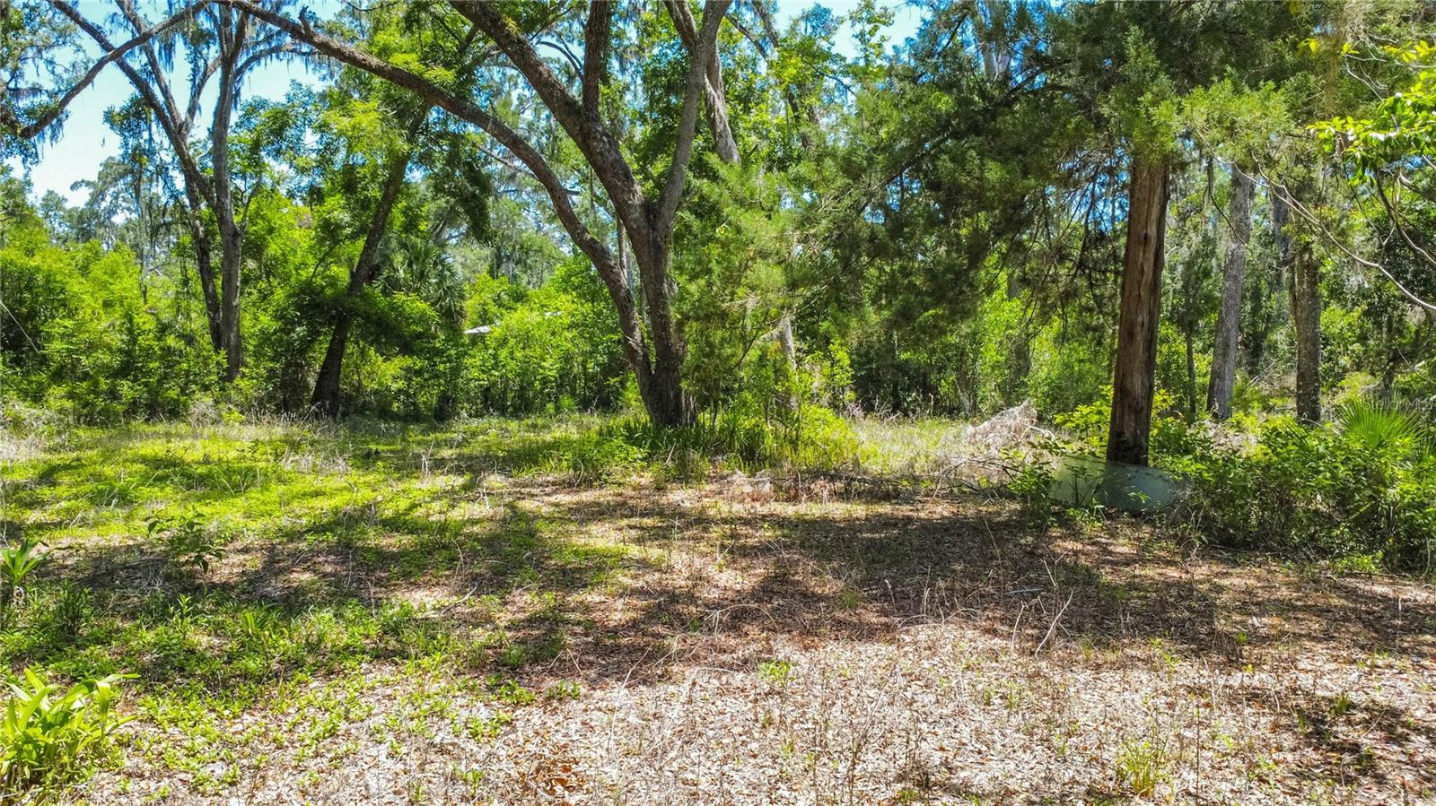 105 NE 239TH AVE, OLD TOWN, FL — photo 12