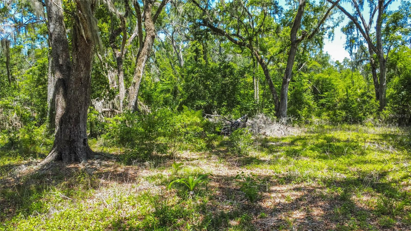 105 NE 239TH AVE, OLD TOWN, FL — photo 13