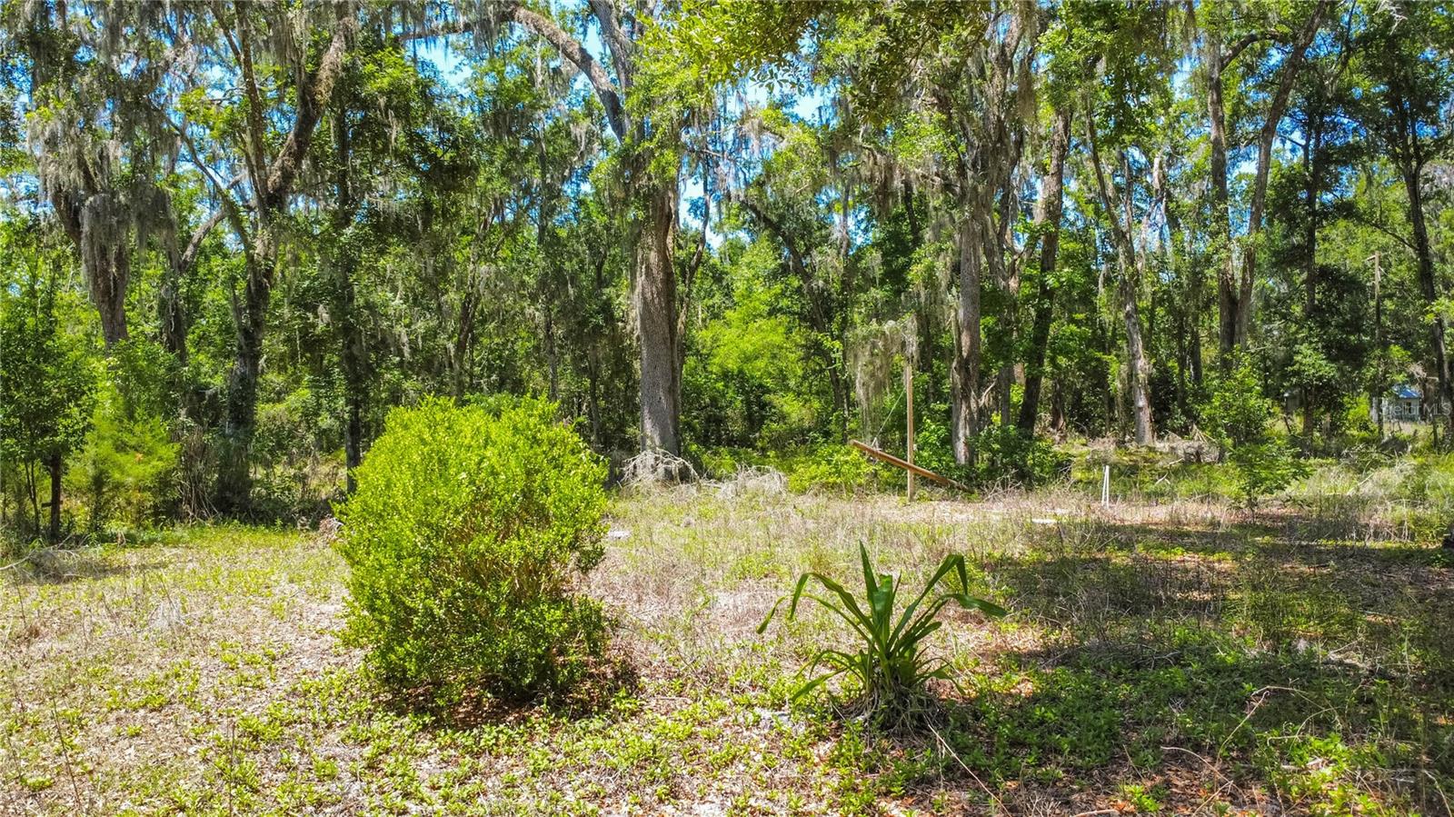 105 NE 239TH AVE, OLD TOWN, FL — photo 14