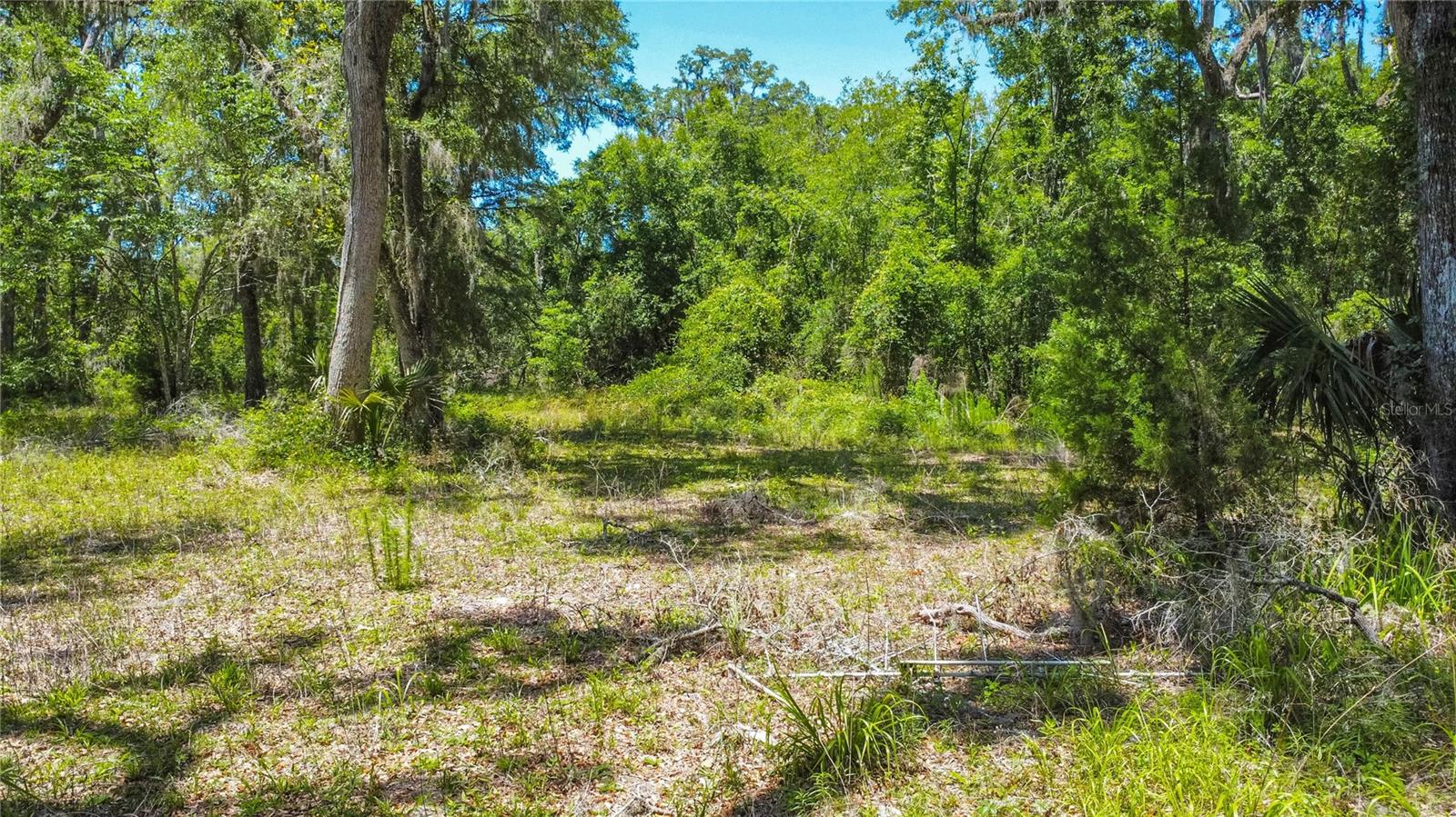 105 NE 239TH AVE, OLD TOWN, FL — photo 15