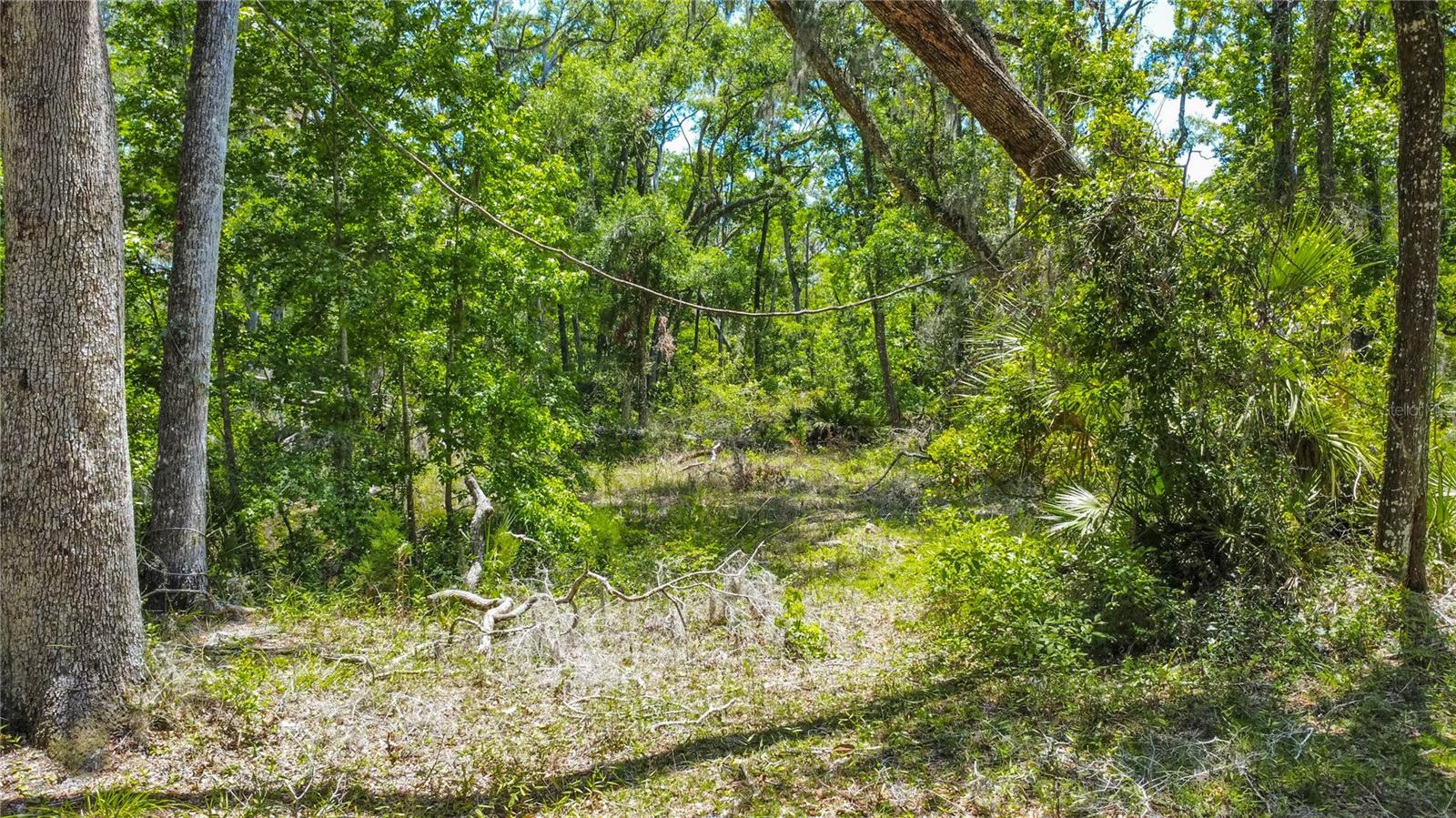 105 NE 239TH AVE, OLD TOWN, FL — photo 16