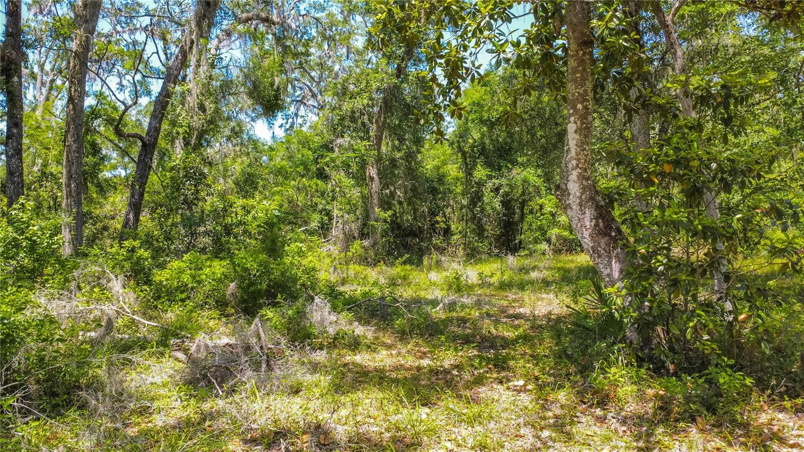 105 NE 239TH AVE, OLD TOWN, FL — photo 17