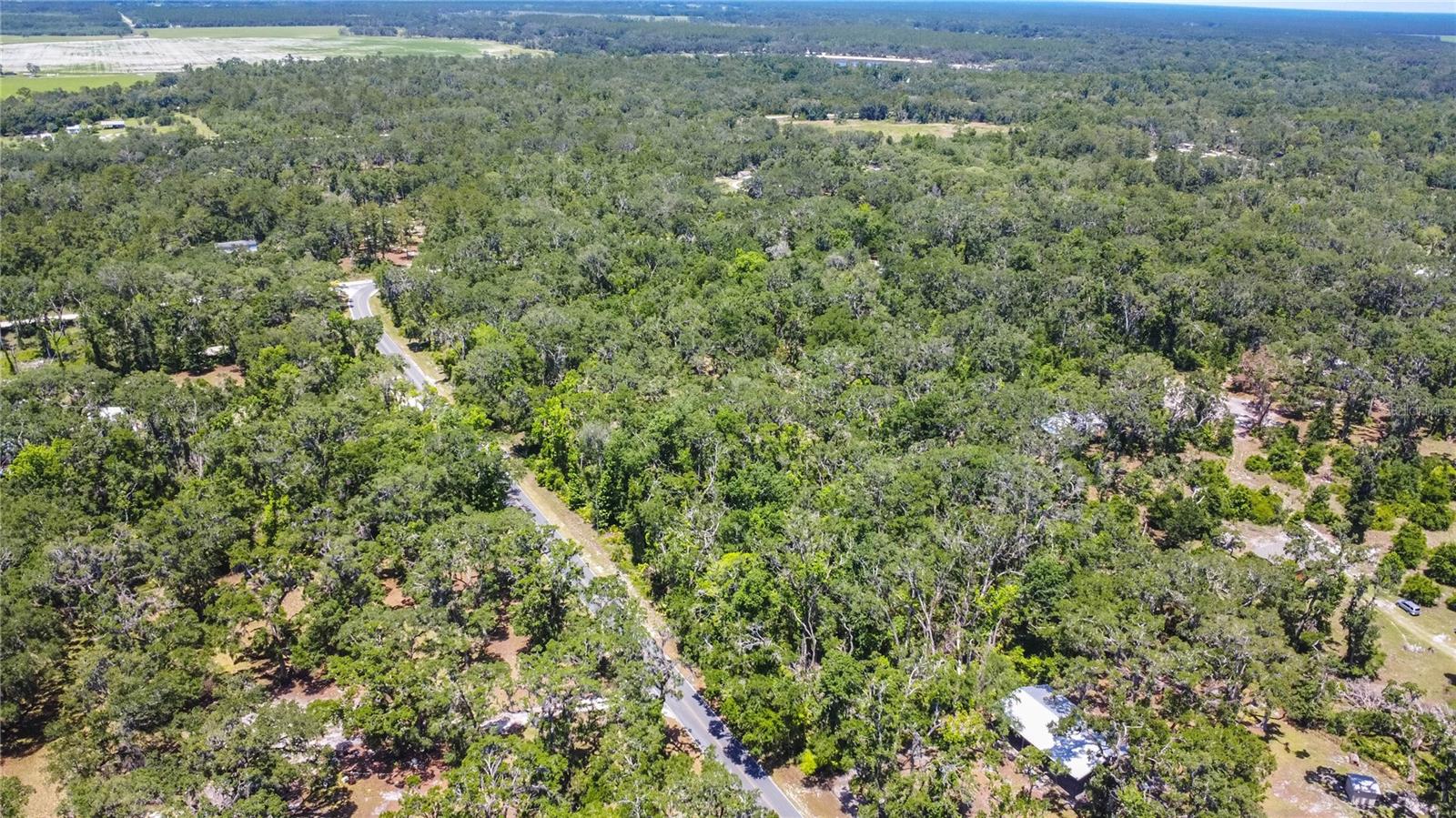 105 NE 239TH AVE, OLD TOWN, FL — photo 23