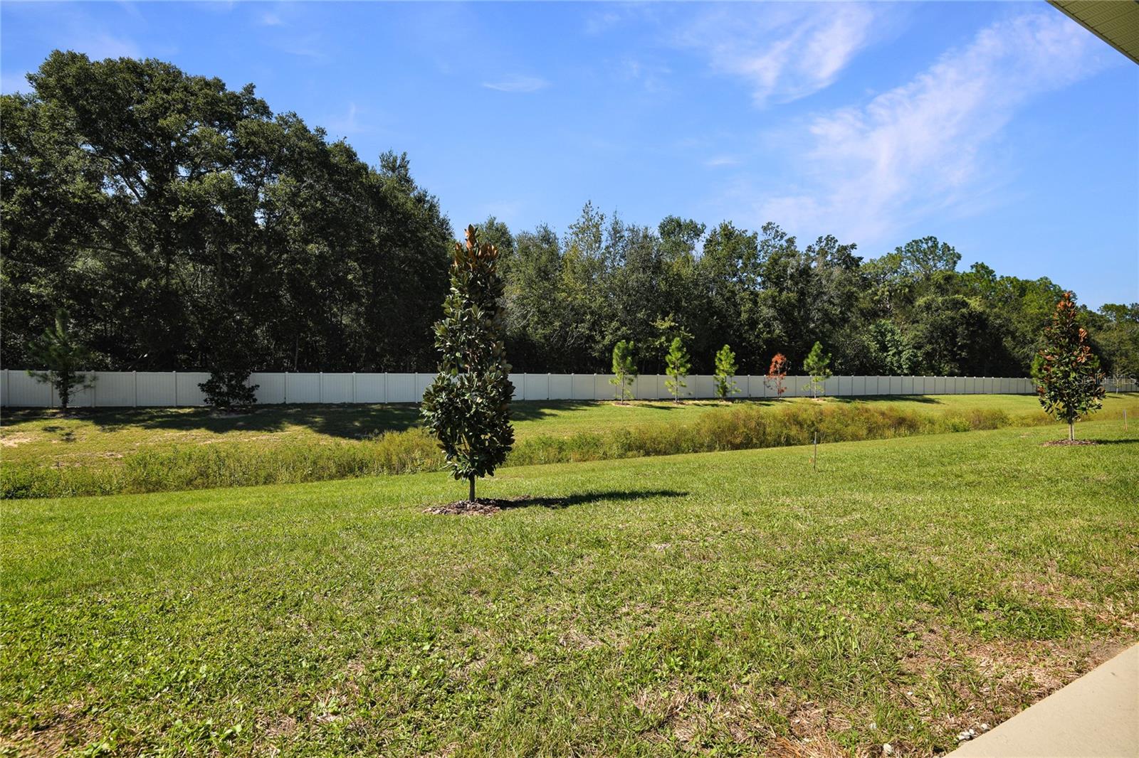 6182 SW 64TH TER, OCALA, FL — photo 20