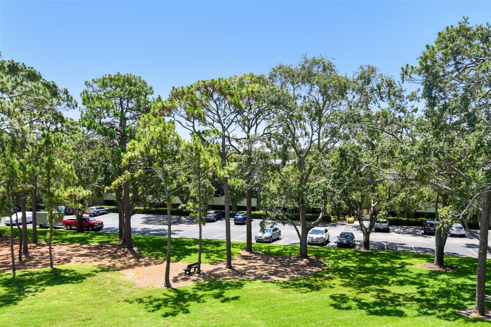 36750 US 19 N #15309, PALM HARBOR, FL — photo 36