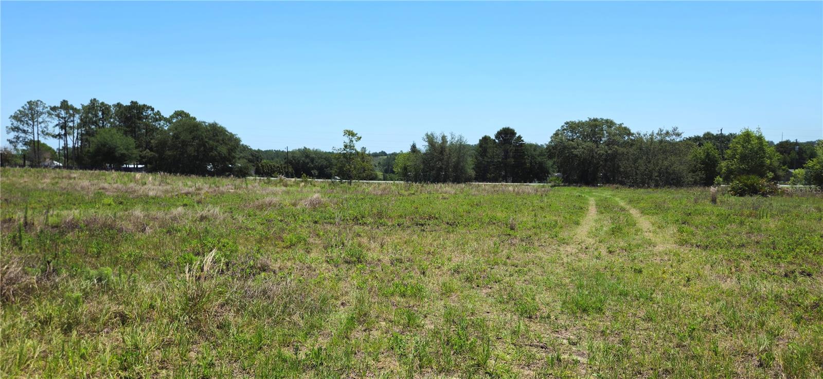 24207 TURKEY LAKE RD, HOWEY IN THE HILLS, FL — photo 3