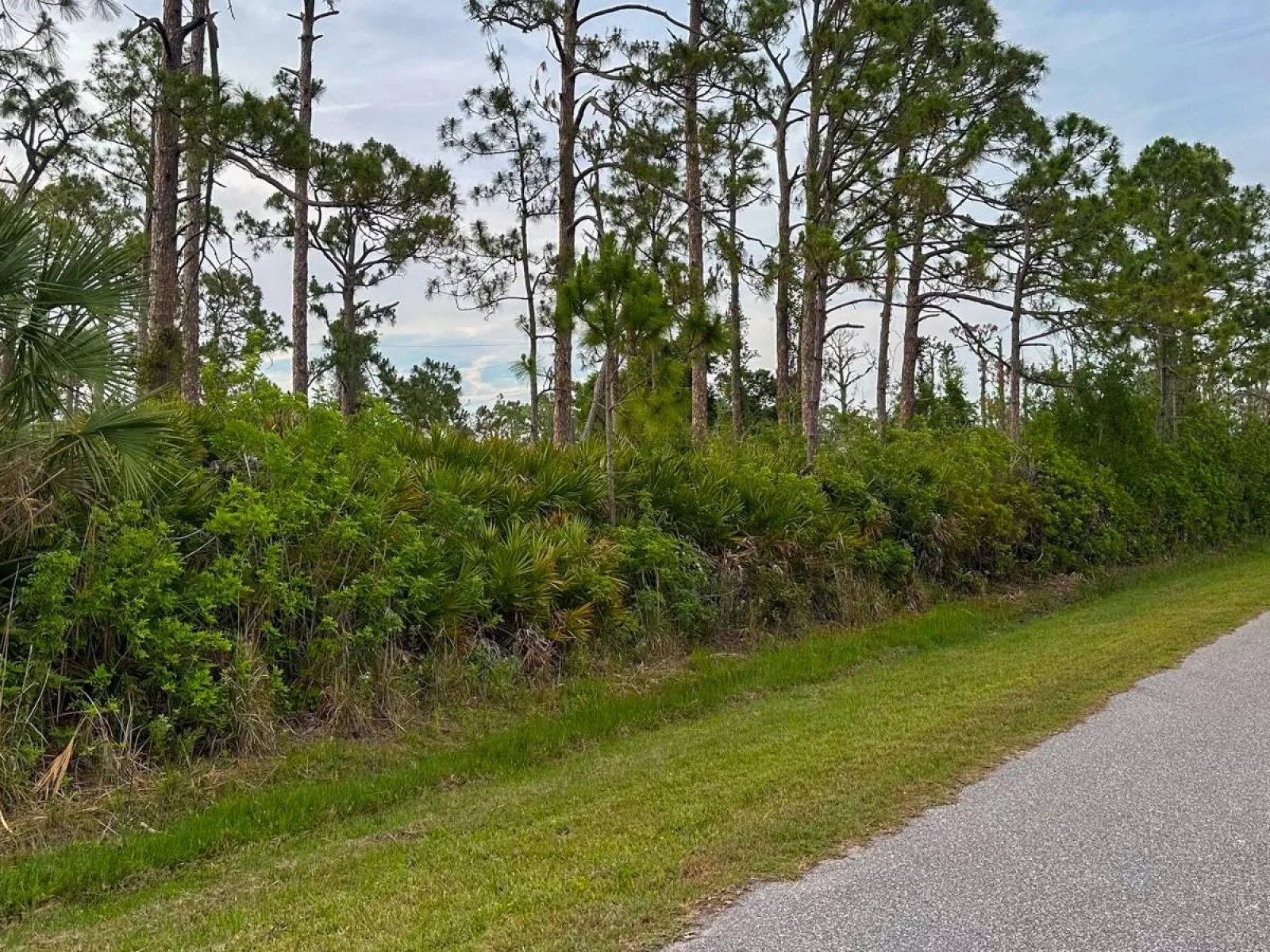 5263 ELLSWORTH TER, PORT CHARLOTTE, FL — photo 4