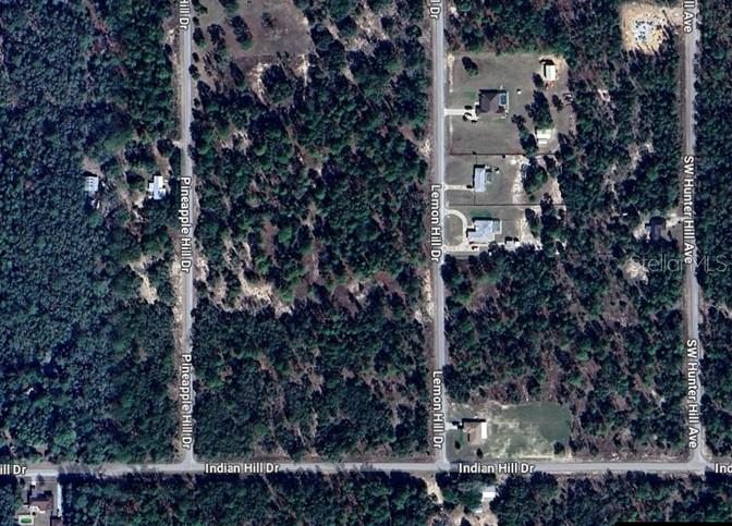 SW LEMON HILL DR, DUNNELLON, FL