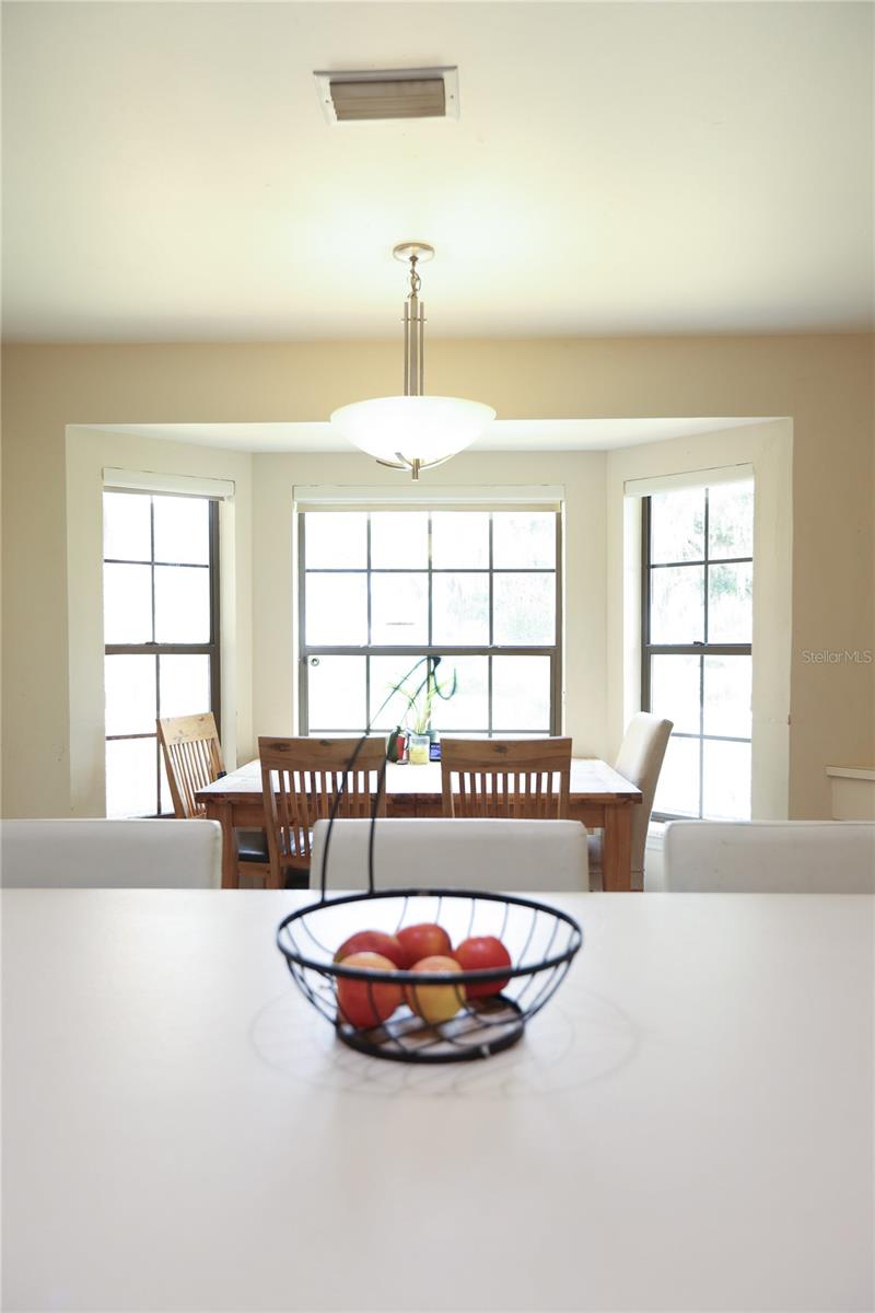 11923 LAKE BUTLER BLVD, WINDERMERE, FL — photo 15