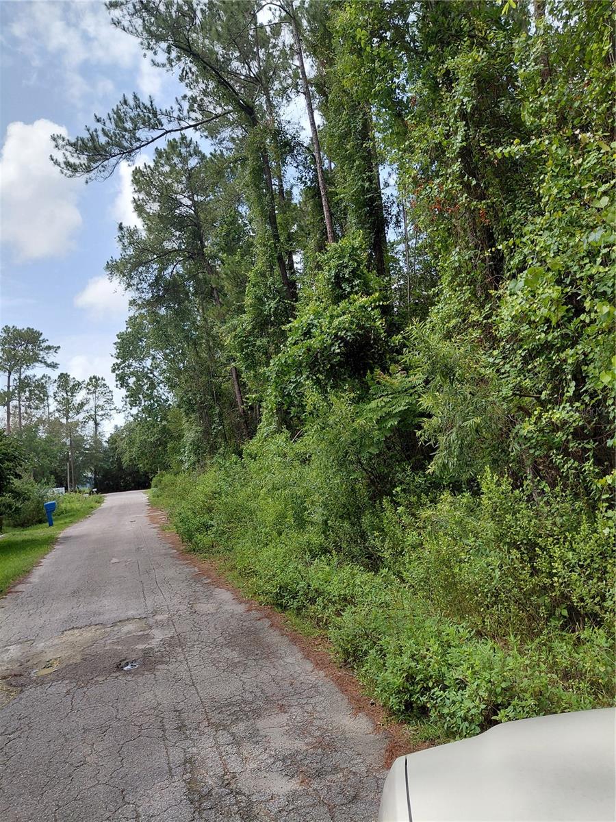 JAMES ST, ASTOR, FL