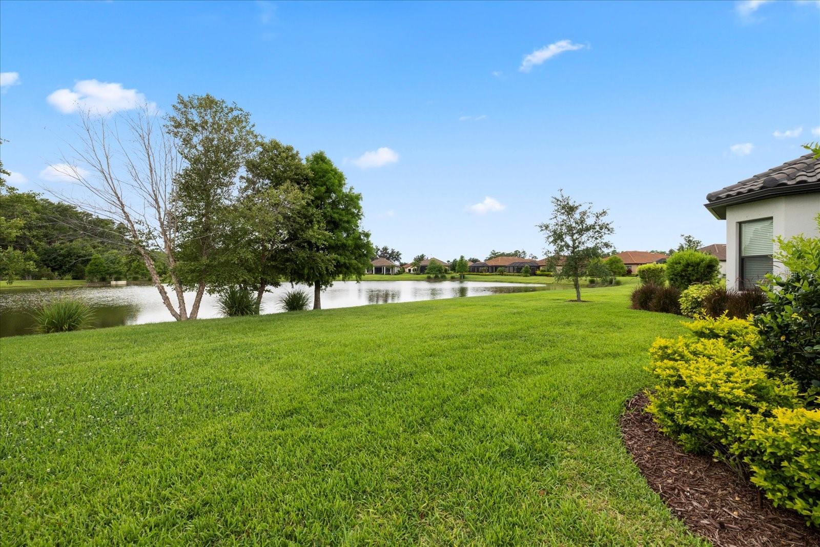 11398 JUGLANS DR, ODESSA, FL — photo 55