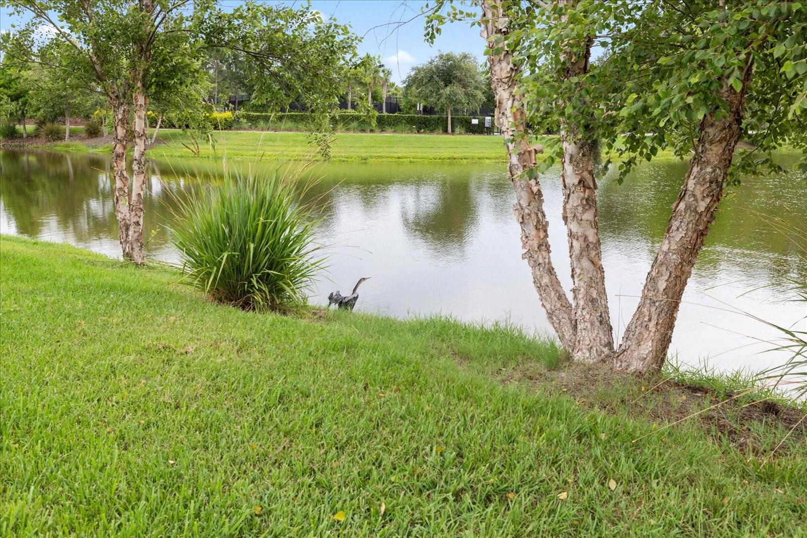 11398 JUGLANS DR, ODESSA, FL — photo 56