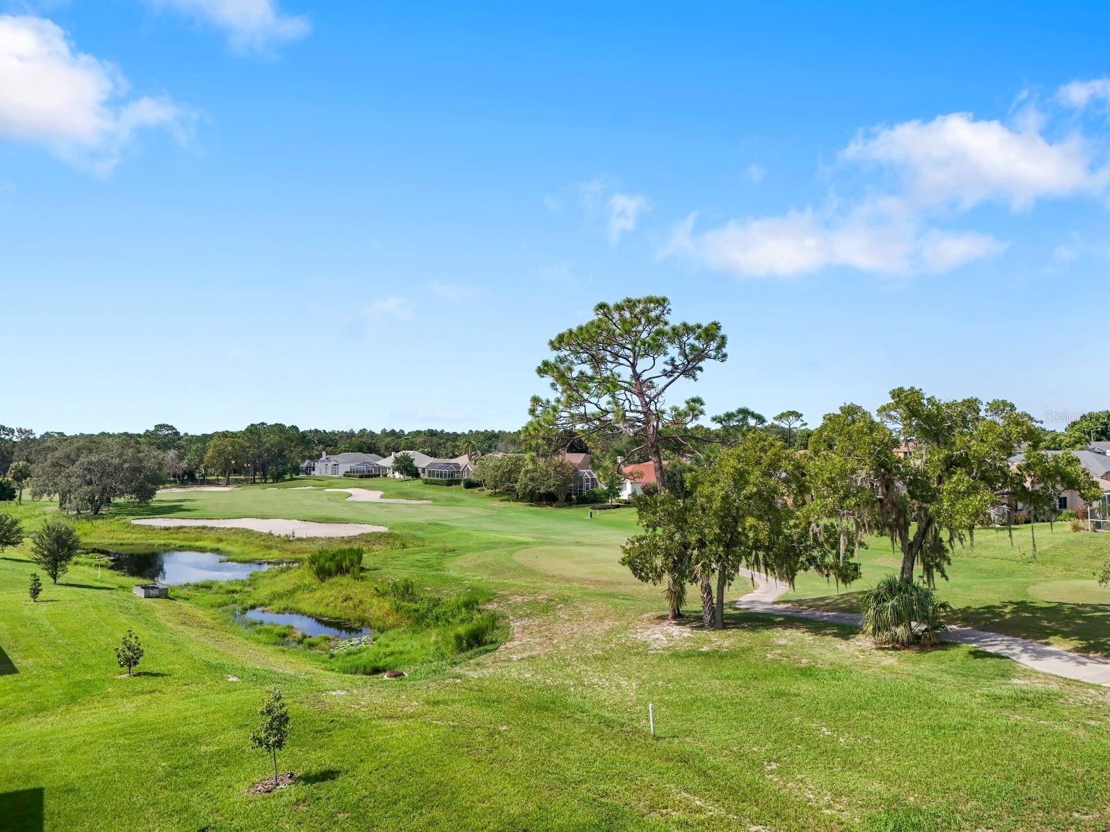 9005 PLAYERS DR, WEEKI WACHEE, FL — photo 35