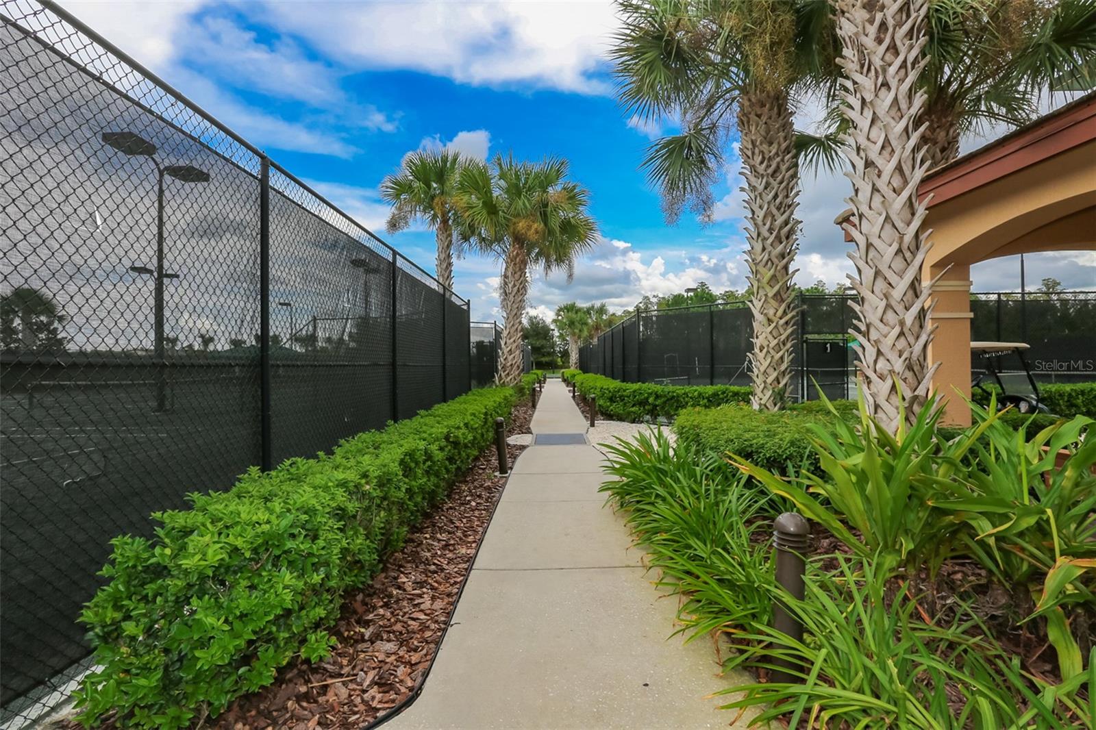 16227 CAPE CORAL DR, WIMAUMA, FL — photo 55