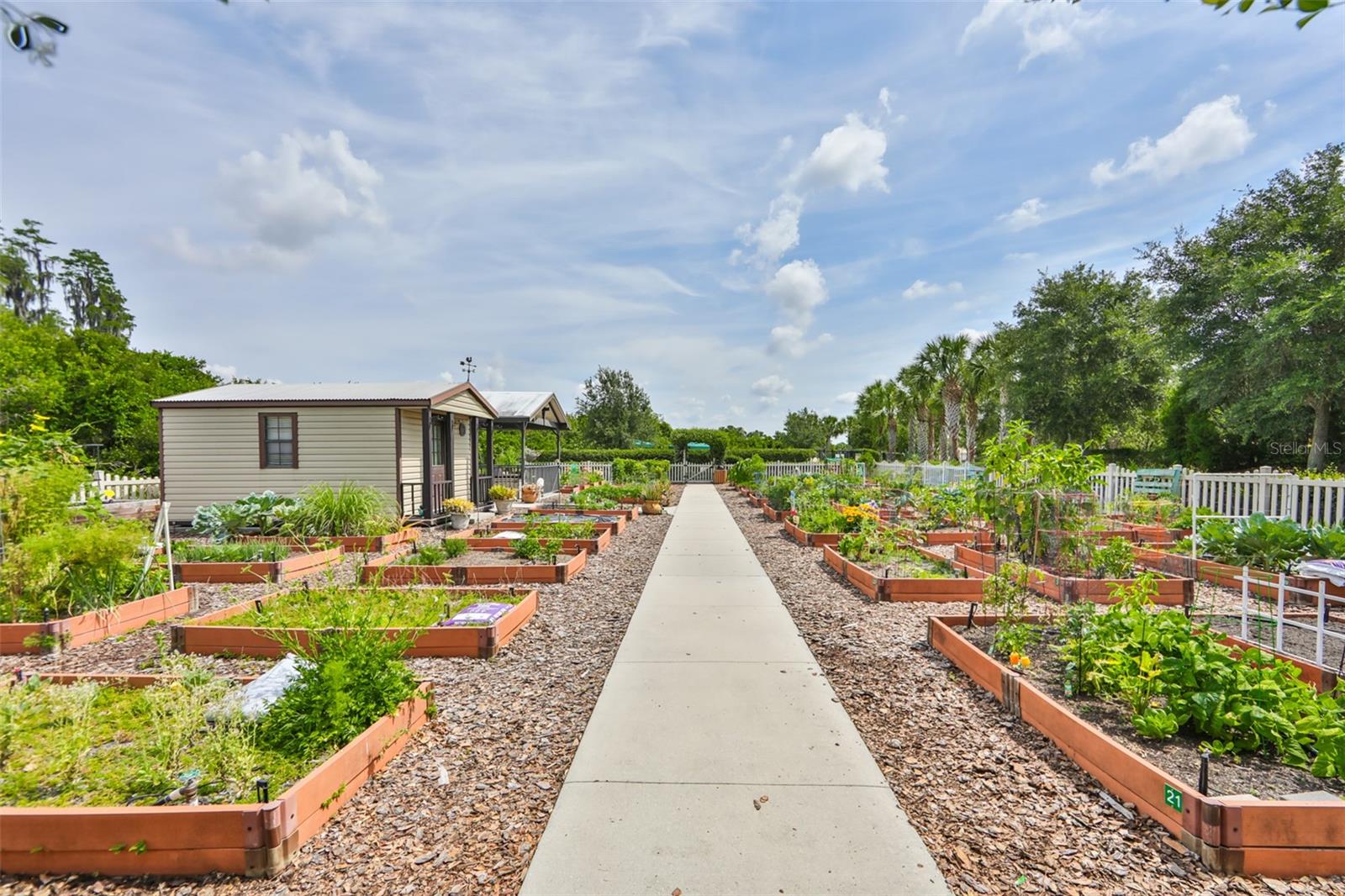 16227 CAPE CORAL DR, WIMAUMA, FL — photo 58