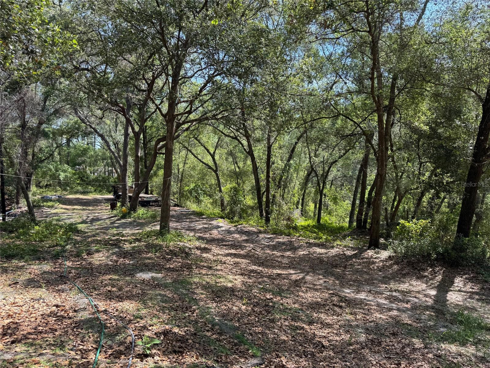 16137 SE 34TH PL, OCKLAWAHA, FL — photo 3