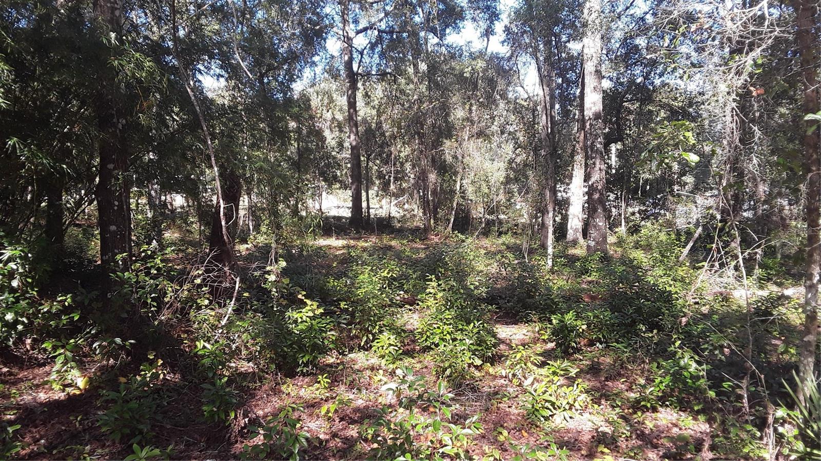 13231 BISSELL DR, PUNTA GORDA, FL