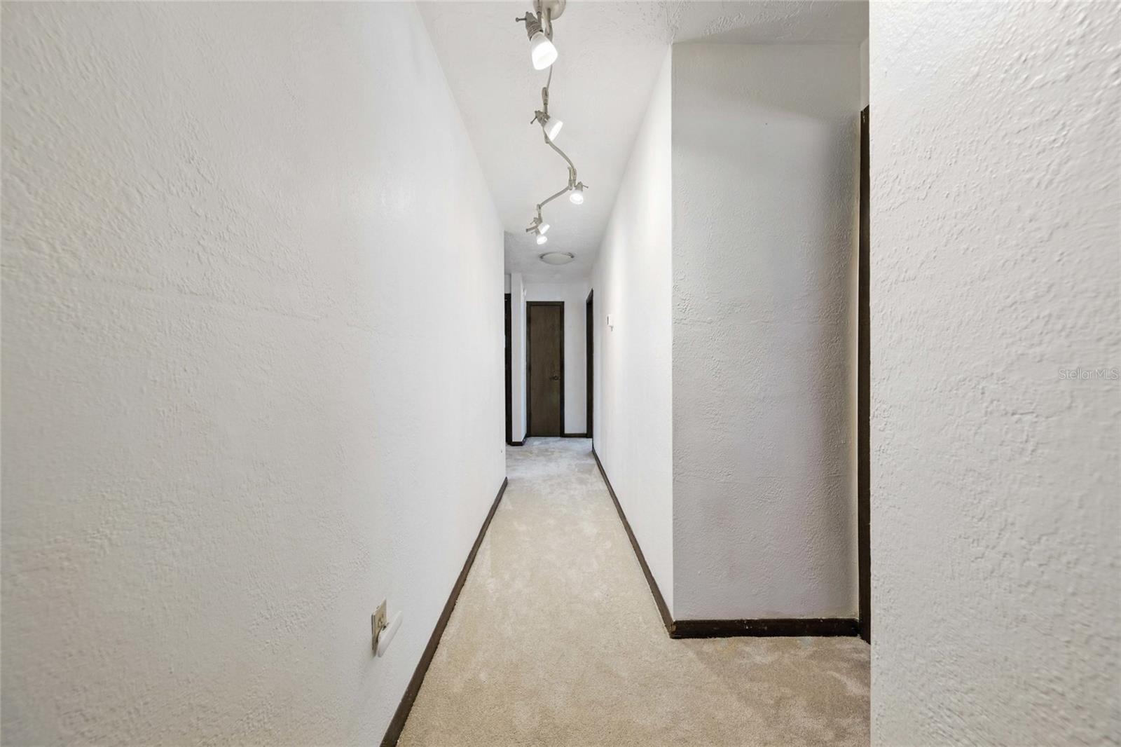 11285 8TH ST E, TREASURE ISLAND, FL — photo 28