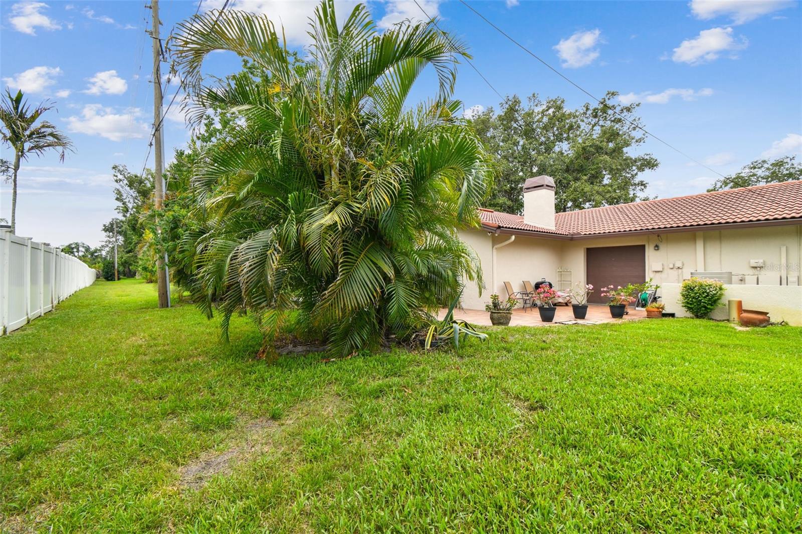 3476 TARPON WOODS BLVD, PALM HARBOR, FL — photo 46