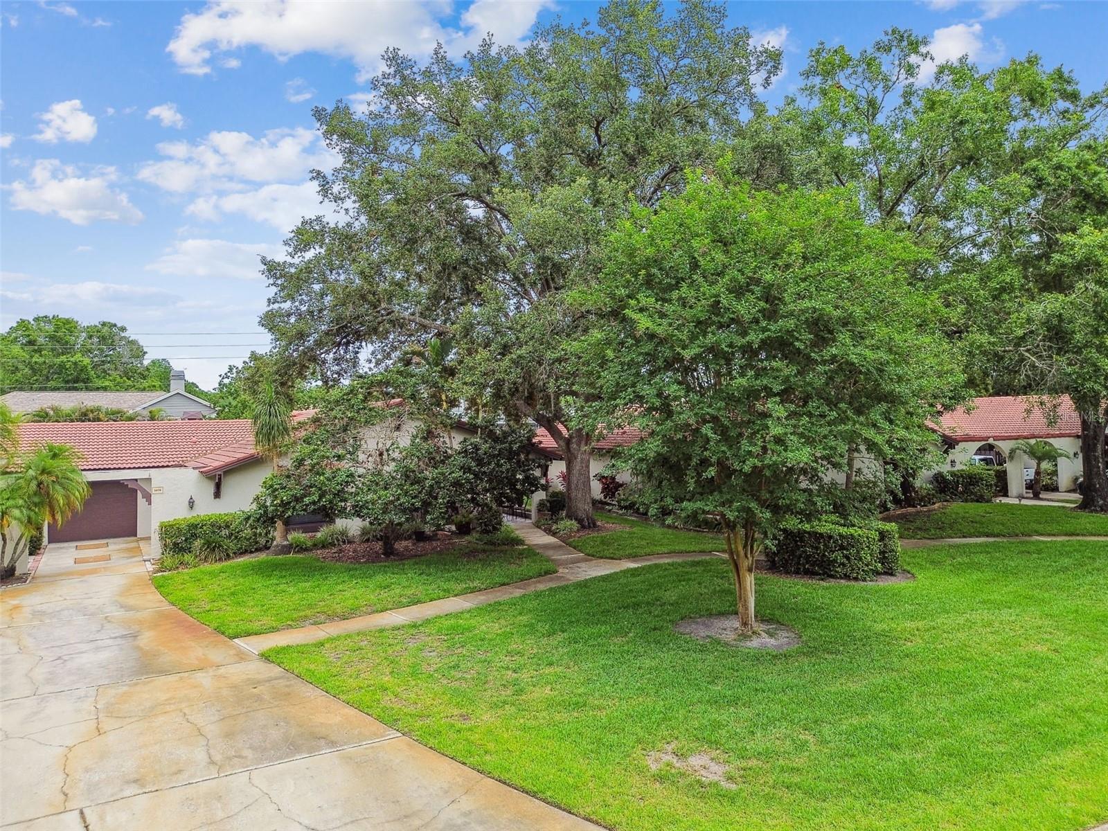 3476 TARPON WOODS BLVD, PALM HARBOR, FL — photo 47