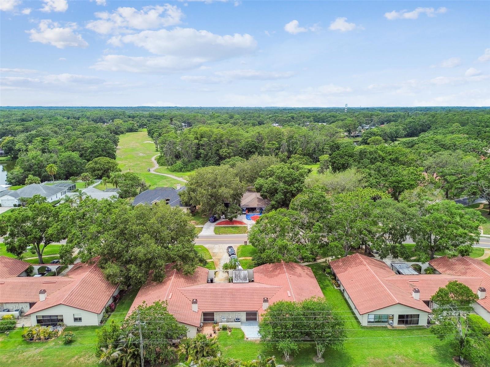 3476 TARPON WOODS BLVD, PALM HARBOR, FL — photo 49