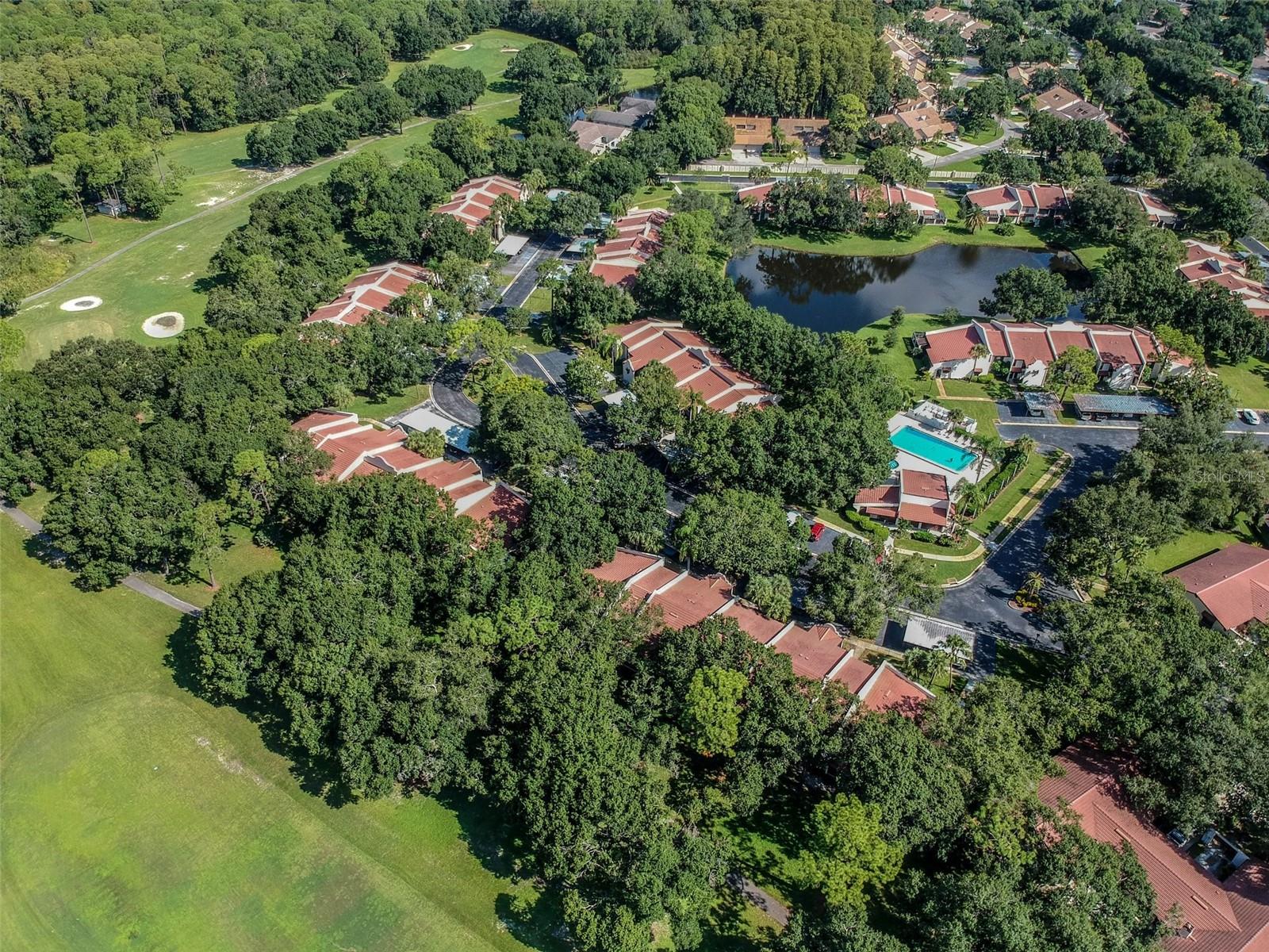 3476 TARPON WOODS BLVD, PALM HARBOR, FL — photo 50