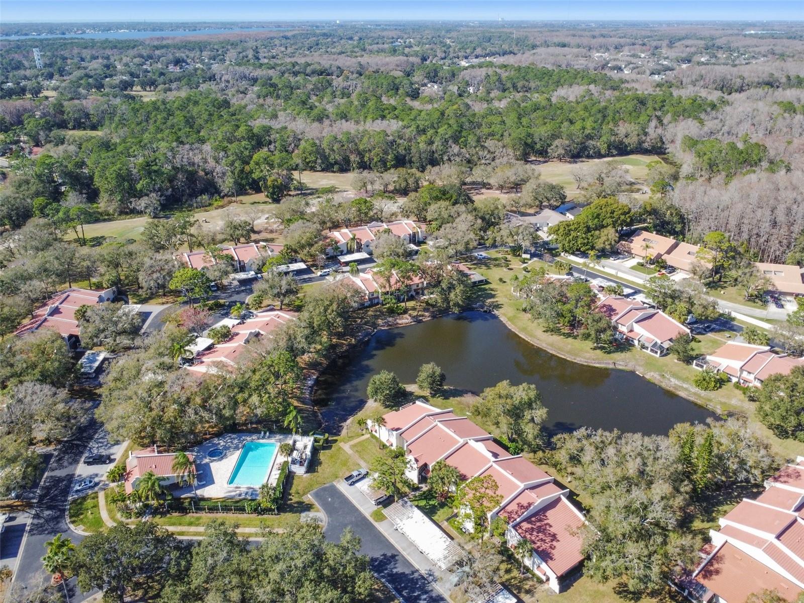 3476 TARPON WOODS BLVD, PALM HARBOR, FL — photo 51