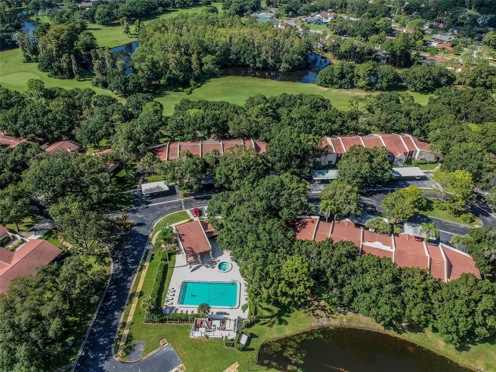 3476 TARPON WOODS BLVD, PALM HARBOR, FL — photo 52