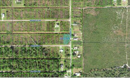 202 ORCHID DR, INDIAN LAKE ESTATES, FL — photo 4
