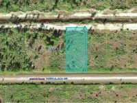 710 PORTULACA DR — photo 1