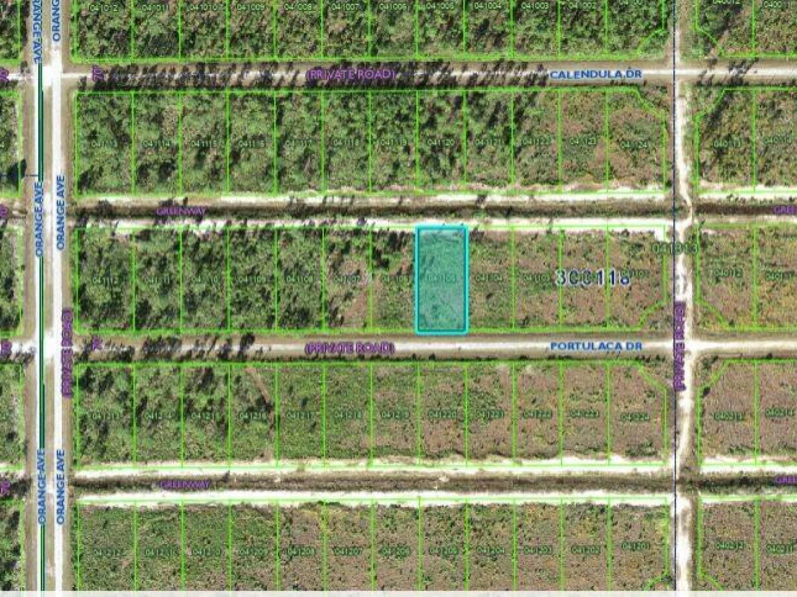 710 PORTULACA DR, INDIAN LAKE ESTATES, FL — photo 4