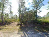 715 ALBA DR — photo 5