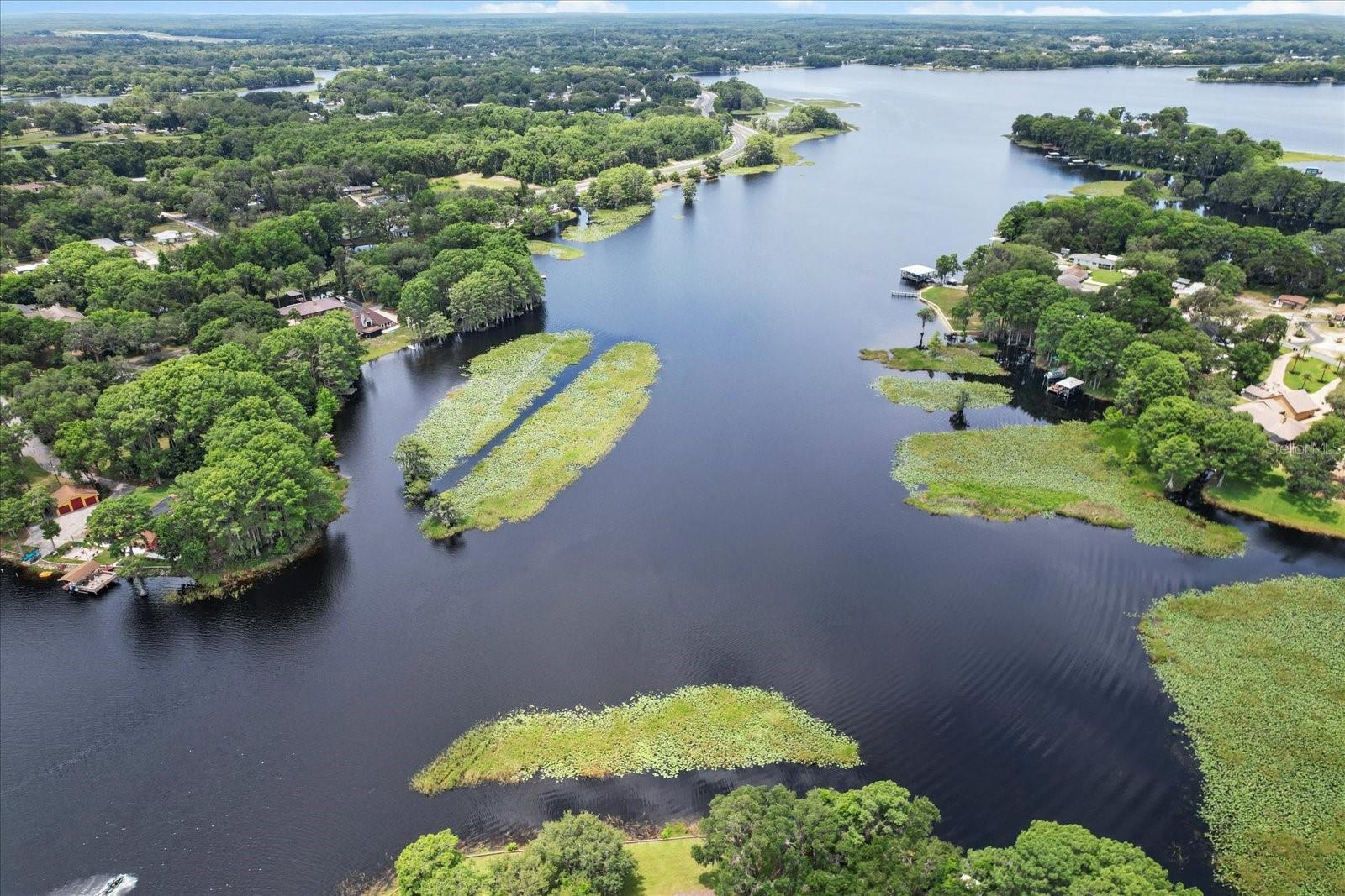 1226 S TELEPHONE POINT RD, INVERNESS, FL — photo 2