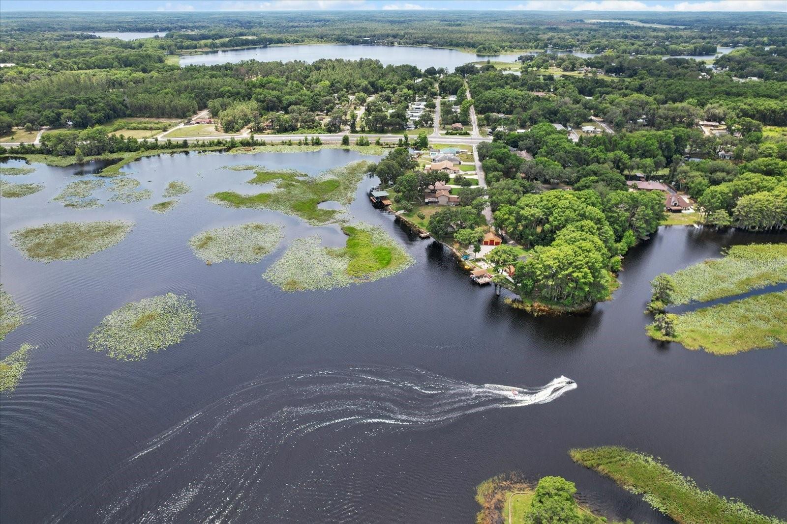 1226 S TELEPHONE POINT RD, INVERNESS, FL — photo 4
