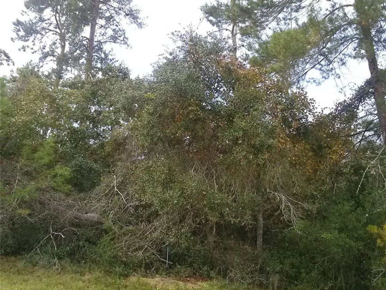 00 MARION OAKS BLVD, OCALA, FL — photo 2