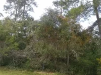 00 MARION OAKS BLVD — photo 2