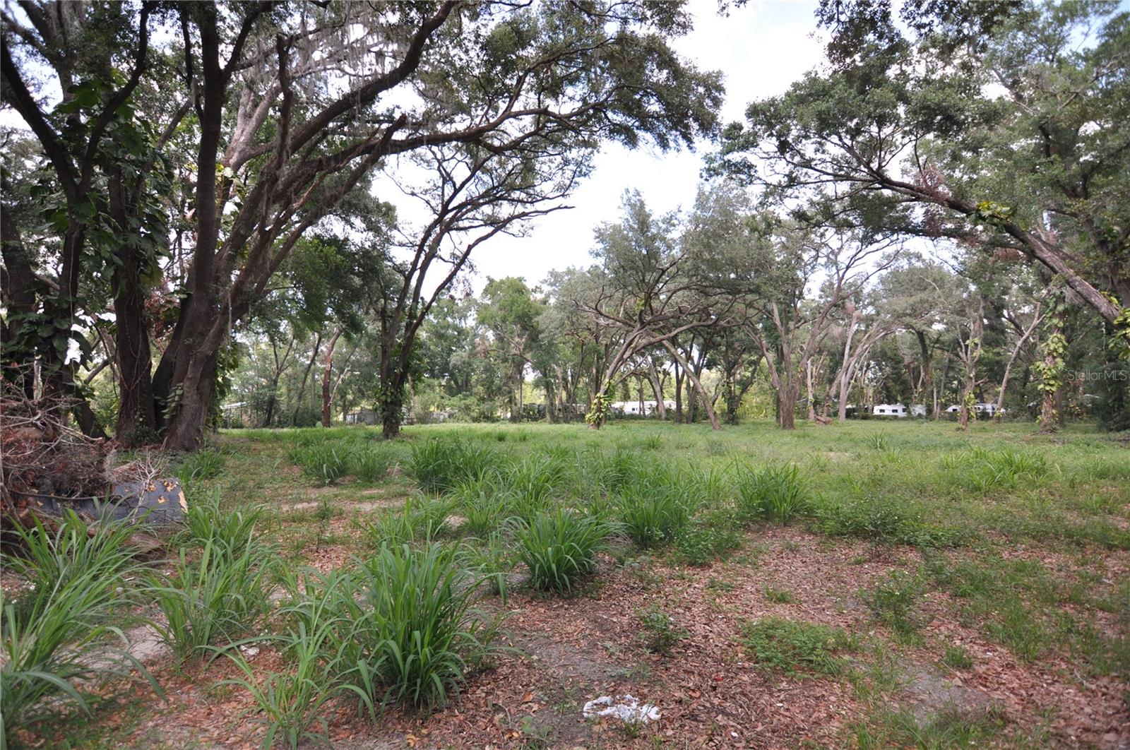 6734 20TH ST, ZEPHYRHILLS, FL — photo 3