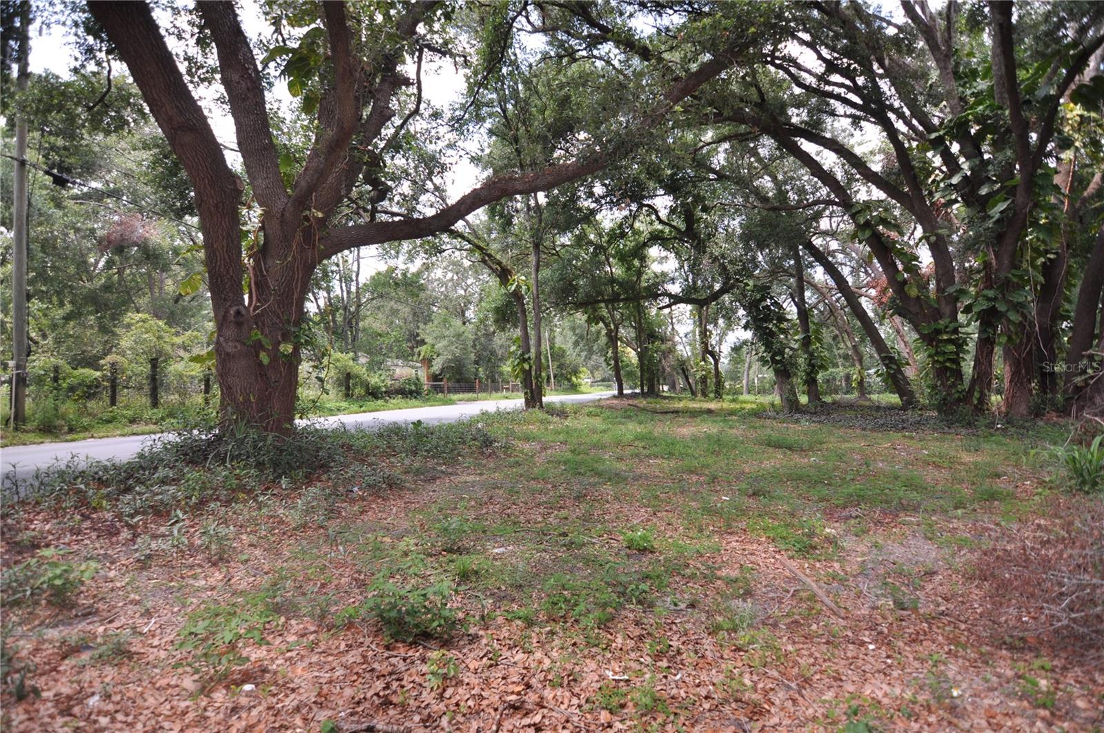 6734 20TH ST, ZEPHYRHILLS, FL — photo 4